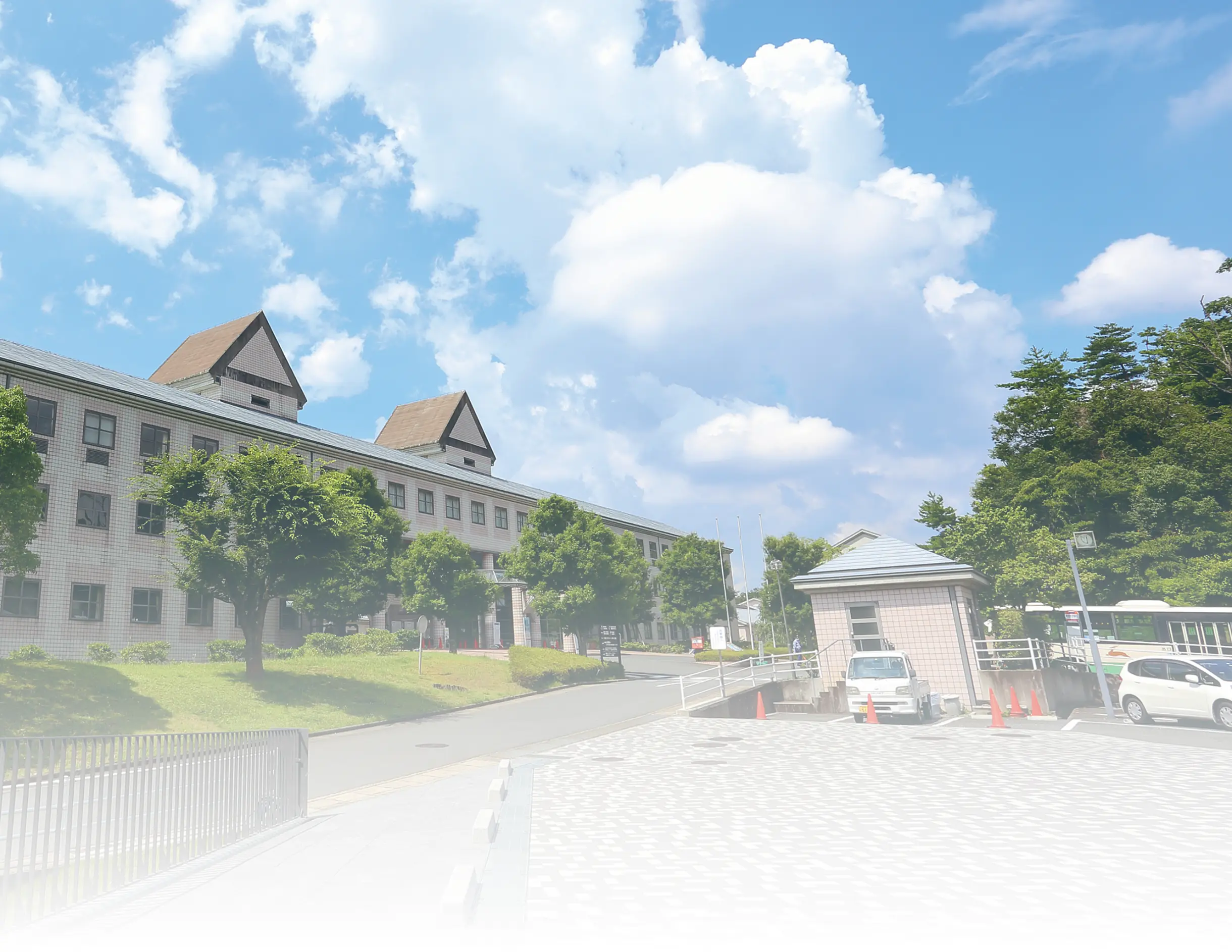 学びが広げる未来 卒業生の声
