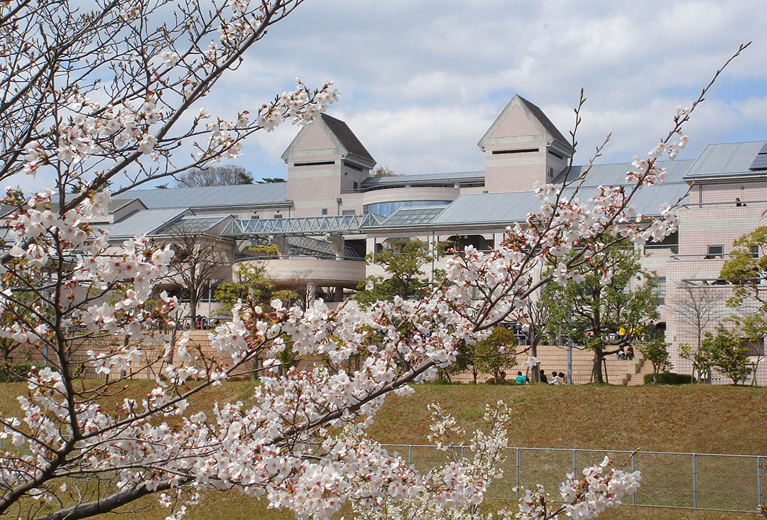 学校内風景